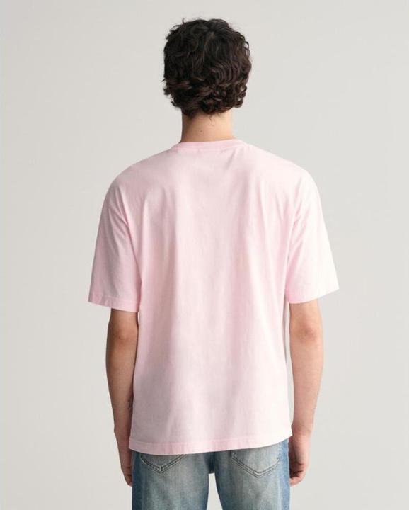 Actual product image GANT t-hirt wahed graphic (S)