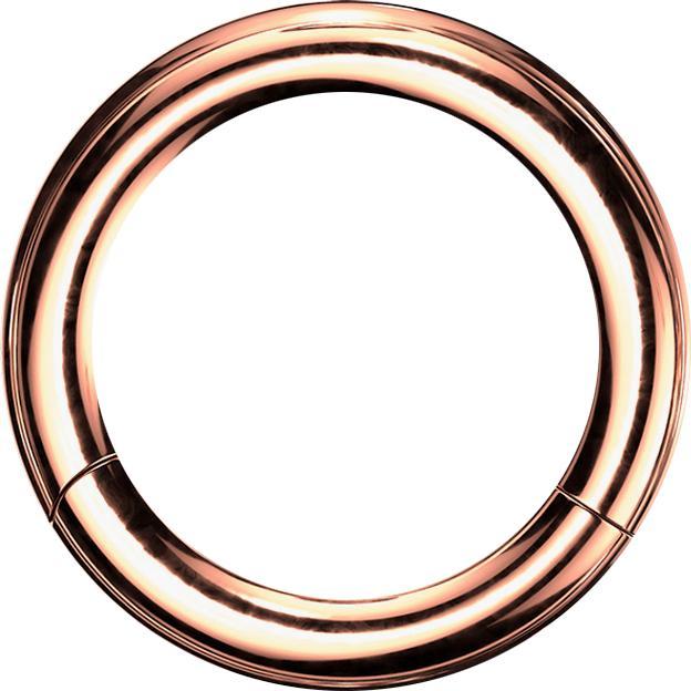 Produktbild Star Piercing Segmentring klappbar rosegold (Chirurgenstahl 316L)