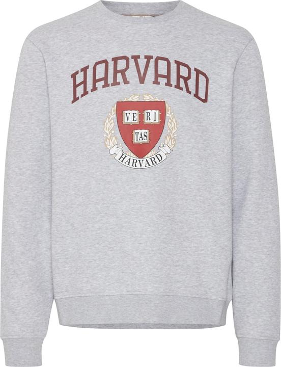Blend Sweatshirt - Sweatshirt - 20716638