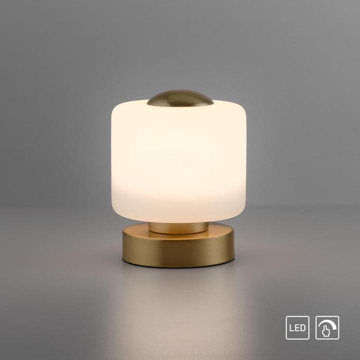 Productafbeelding Paul Neuhaus Bota (580 lm)