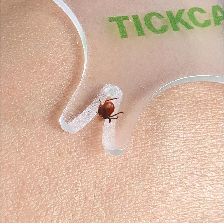 Image du produit Quick Aid Carte à tiques avec loupe