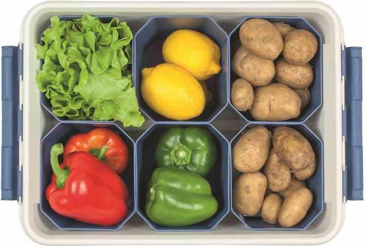 Actual product image Orthex Professional box (50 x 39 x 26 cm, 32 l)