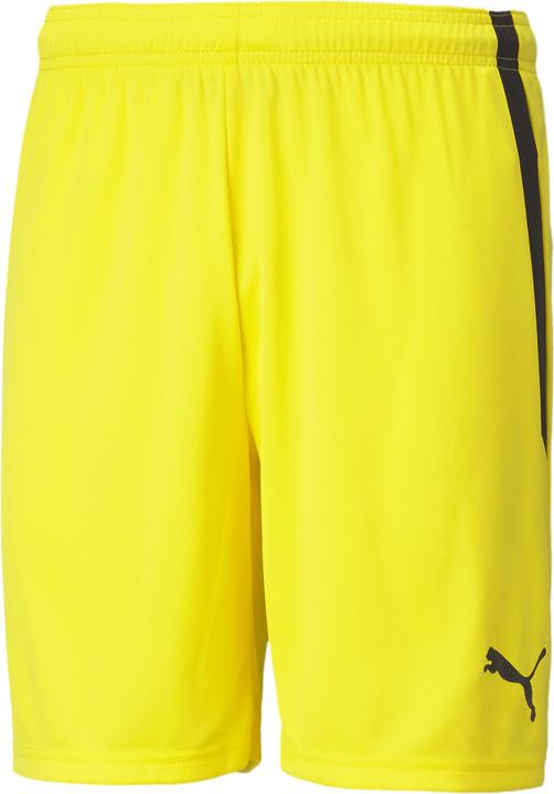 Actual product image Puma teamLIGA Shorts-704924 (S)