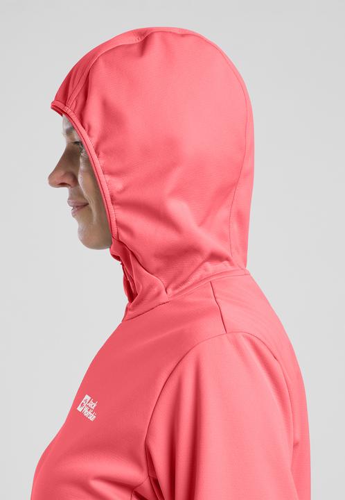 Actual product image Jack Wolfskin Feldberg Hoody W (M)