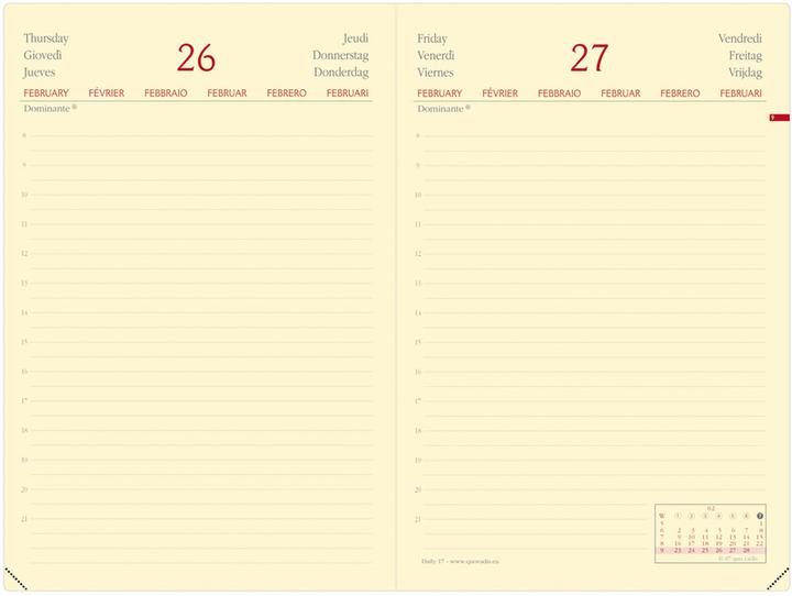 Produktbild Agenda Daily 17 Pr. Silk 2025 376023Q 1T/1S türkis ML 12x17cm (12 x 17 cm, Englisch, Niederländisch)