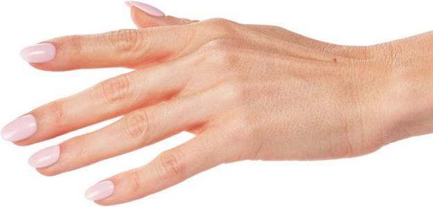 Immagine prodotto Ardell 1 Step Gel Polish Dahlia Dreams 10 ml (Sogni di Dalia, Smalto per unghie effetto gel)