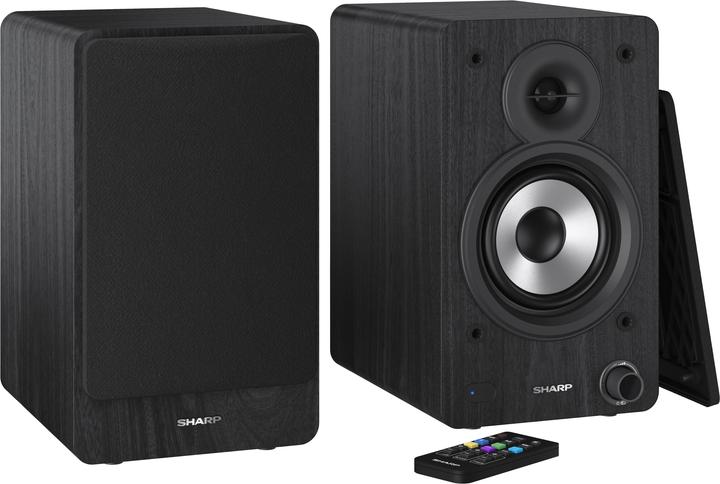 Actual product image Sharp CP-SS30 (1 pair, 60 W)