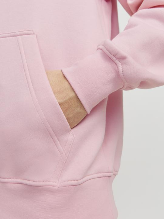 Actual product image Jack & Jones Jorvesterbro Sweat Hood Noos (XL)
