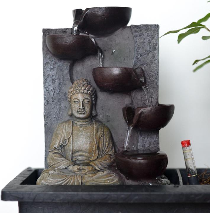 Produktbild Plant in a Box Bonsai Ligustrum, Carmona, Ficus Retusa, Syzygium, Sageretia - Bonsai Wassersystem Buddha (35 cm)
