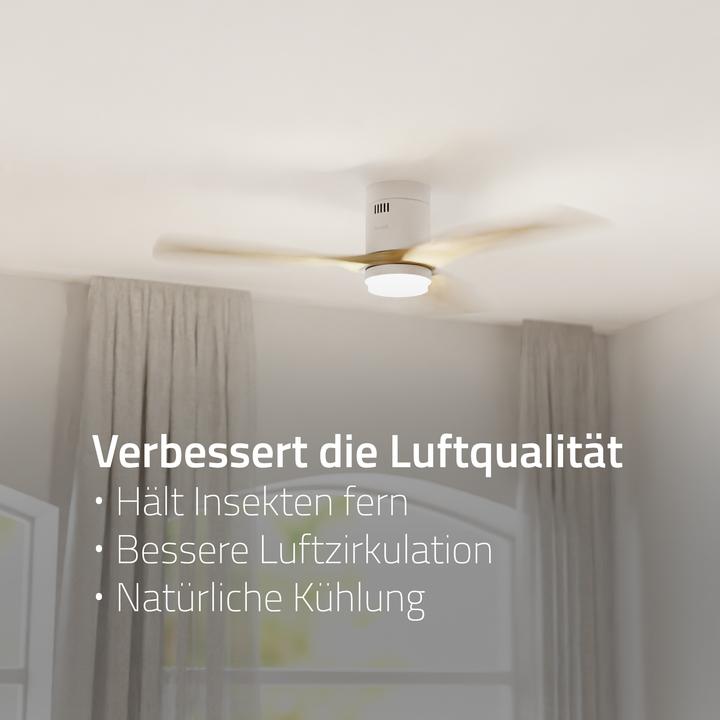 Immagine prodotto Hombli Deckenventilator mit Licht (43 dB)