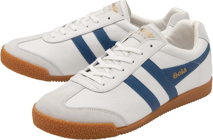 Immagine prodotto Gola Harrier (43)