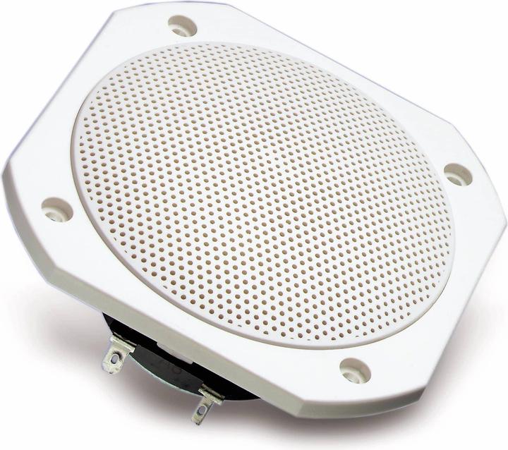 Immagine prodotto Visaton Altoparlante full-range FRS 10 WP