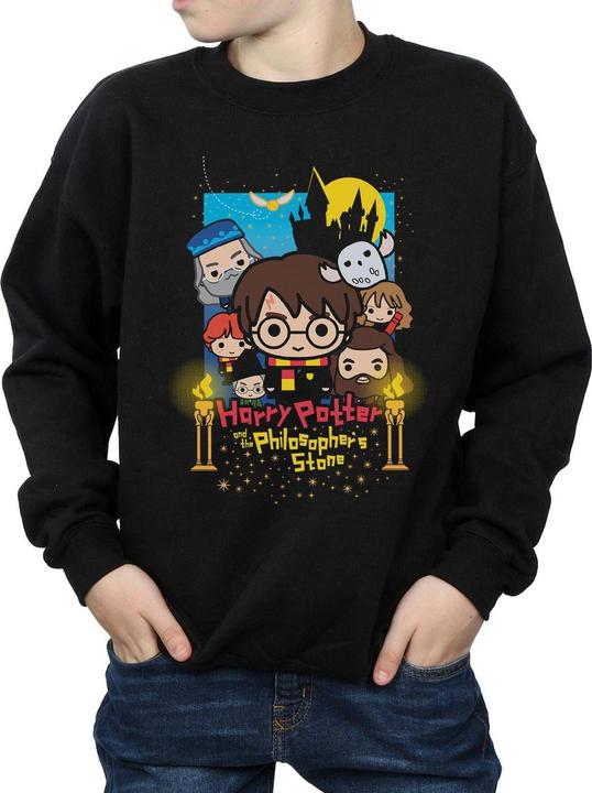 Image du produit Harry Potter Sweatshirt pour garçons (116)