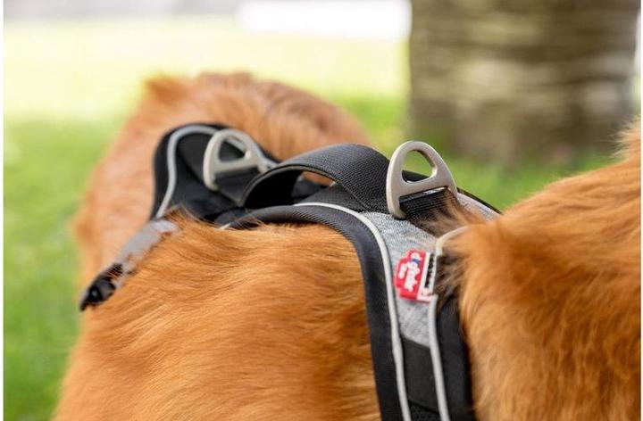 Produktbild Curli Geschirr Magnetic Belka Comfort (M, Hund, Allgemein)