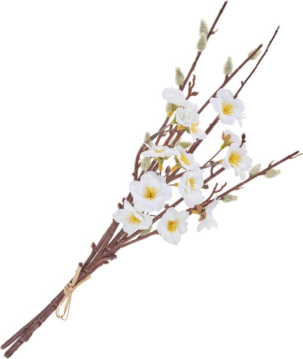Image du produit DPI Bouquet de fleurs de pêcher et de chatons de saule