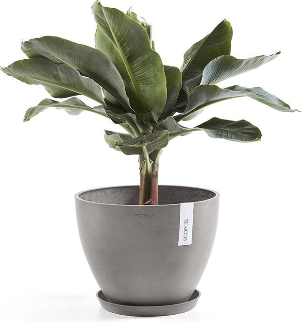 Image du produit Ecopots Saucer Round