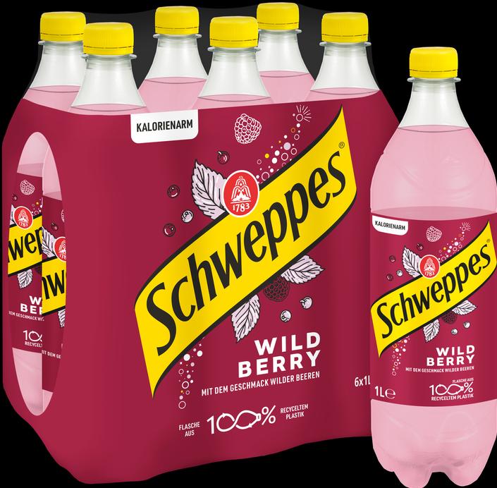 Produktbild Schweppes Wild Berry (6 x 100 cl)