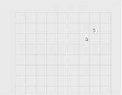 Actual product image Ingold-Biwa Exercise book (A4, Checked)
