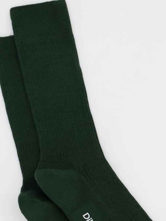 Produktbild DillySocks Ribbed (Einzelpack, 36 - 40)