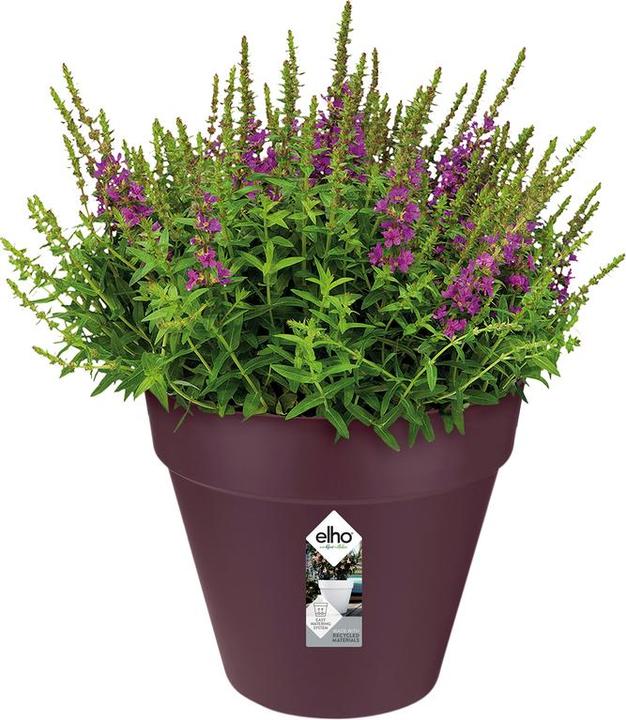 Produktbild Elho Loft Urban (20 cm)