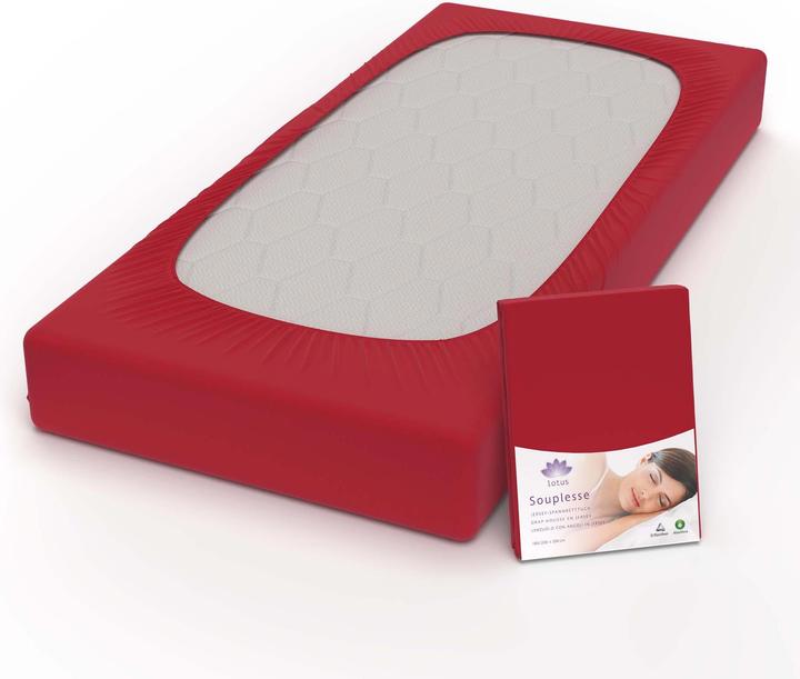 Immagine prodotto Lotus Bettwaren Lenzuolo matrimoniale in jersey Souplesse (90 x 190 cm, 100 x 200 cm, 90 x 200 cm)