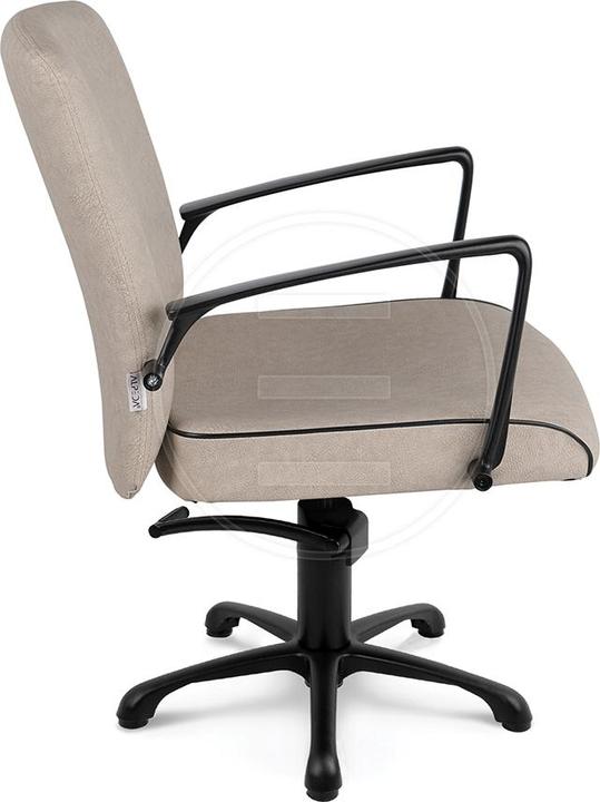 Produktbild Alpeda Icon Black KL Ladies' chairs