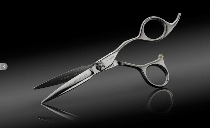 Image du produit Olivia Garden Ciseaux professionnels (13.97 cm)