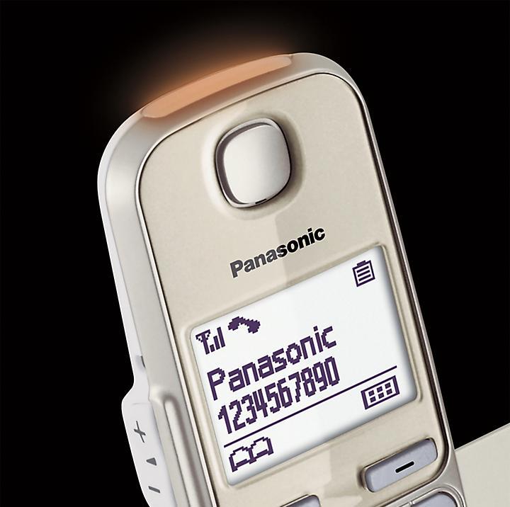 Actual product image Panasonic KX-TGE250GN Single champagne