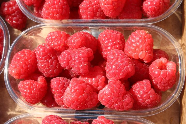 Produktbild Lubera Himbeere Twotimer® Sugana®