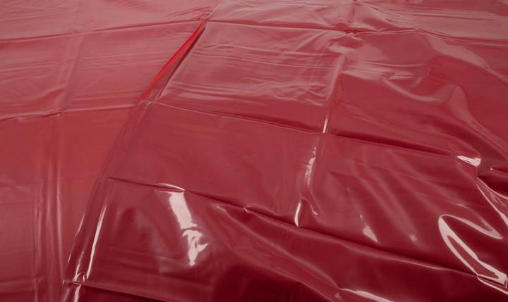 Actual product image Fetish Collection Lacquer sheet bordeaux