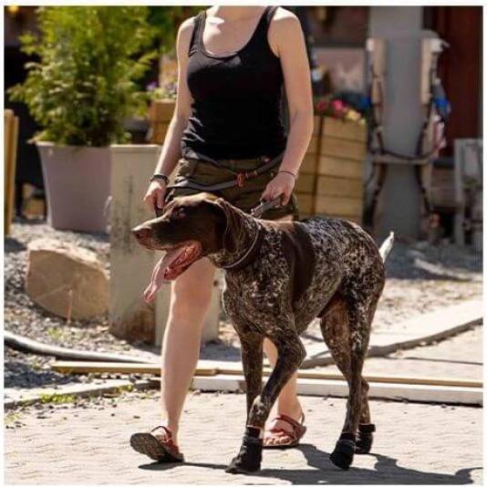Produktbild Non-Stop Dogwear Protector (M, Hundebademantel)