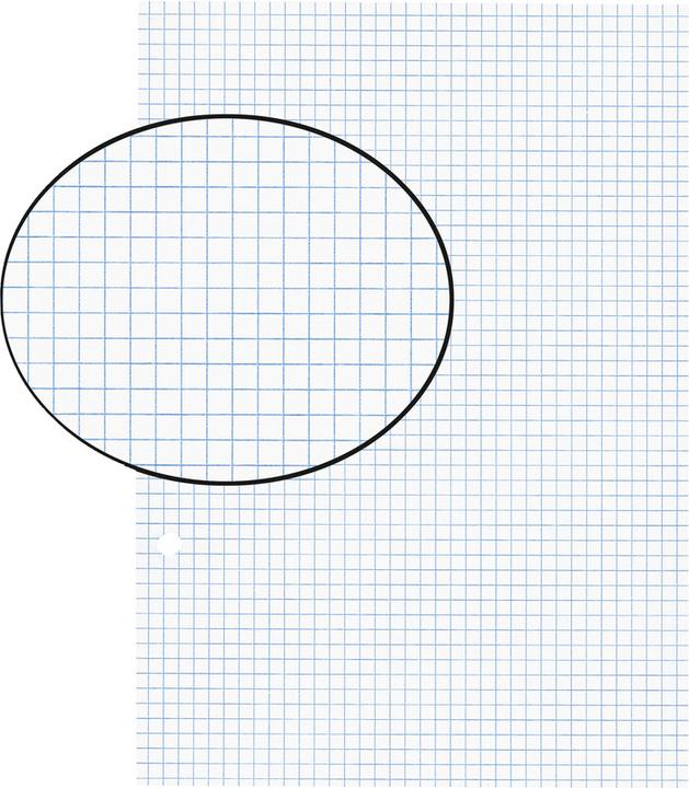 Actual product image Biella Insert sheets