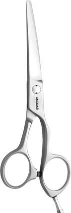 Jaguar Xenox (13.97 cm)