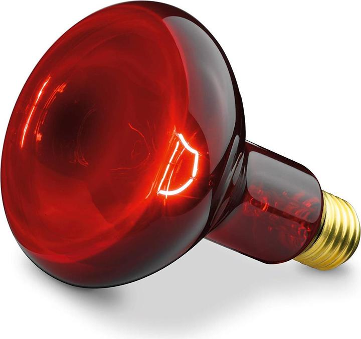 Produktbild Sanitas Sil 06 (100 W)