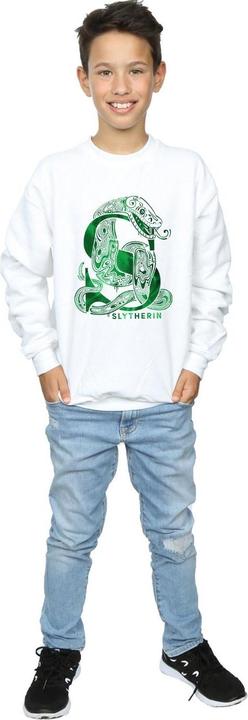 Image du produit - Sweat SLYTHERIN SNAKE - Garçon (152, 158)