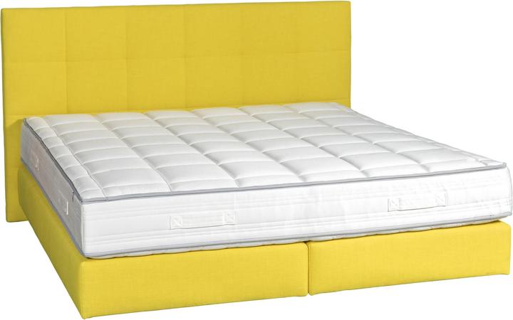 Image du produit Femira Sommier de lit Silver