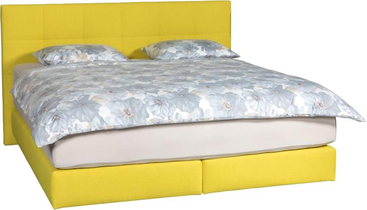 Image du produit Femira Sommier de lit Silver