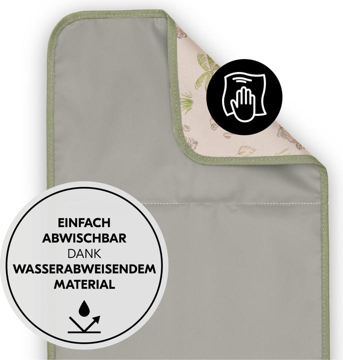 Image du produit Hauck Change N Walk Simba