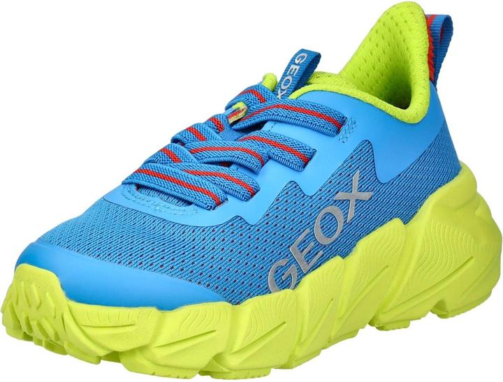 Geox Sneaker (31)