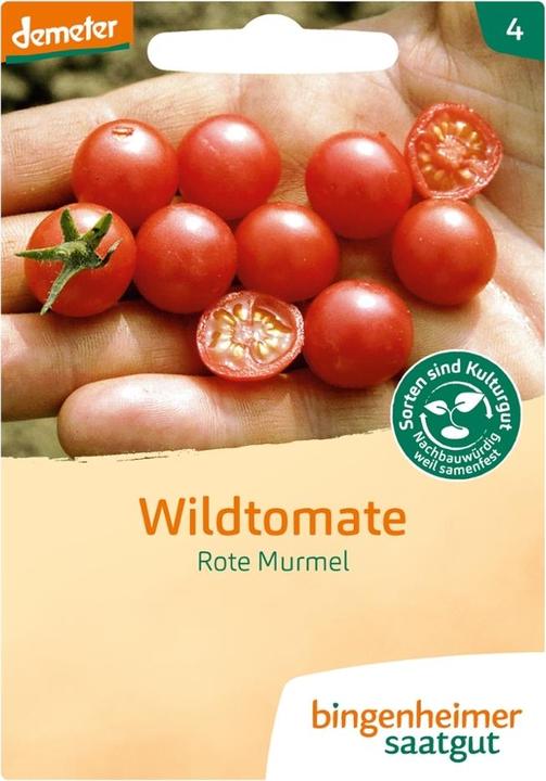 Bingenheimer Saatgut Wildtomate Rote Murmel
