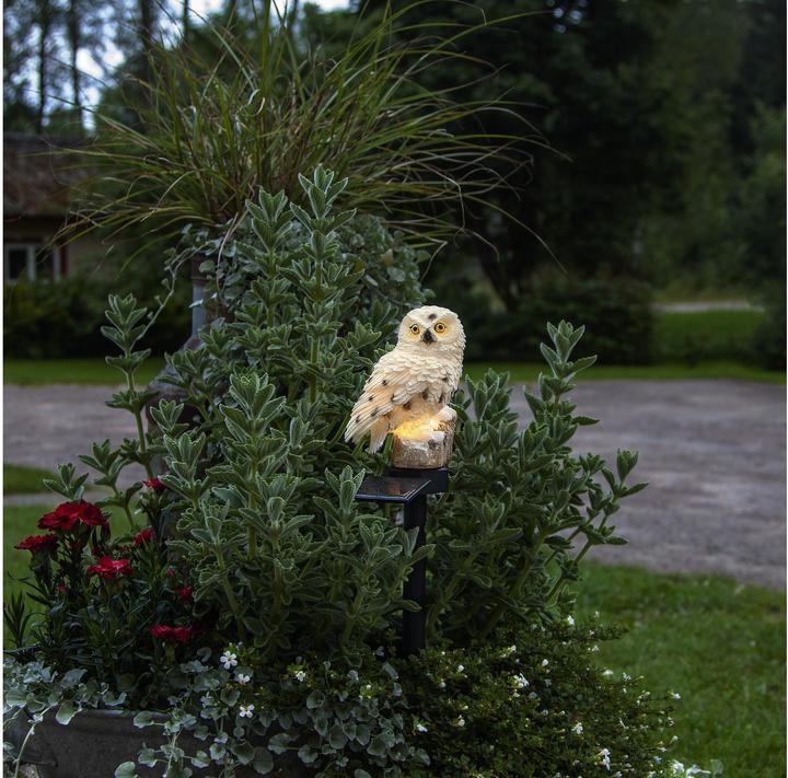 Image du produit Star Trading Owl (IP44)