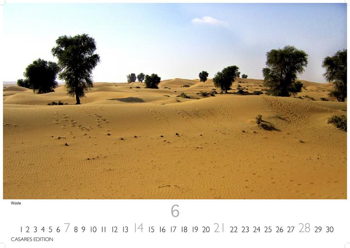 Produktbild Dubai/Abu Dhabi 2026 L 35x50cm (35 x 50 cm, Deutsch)