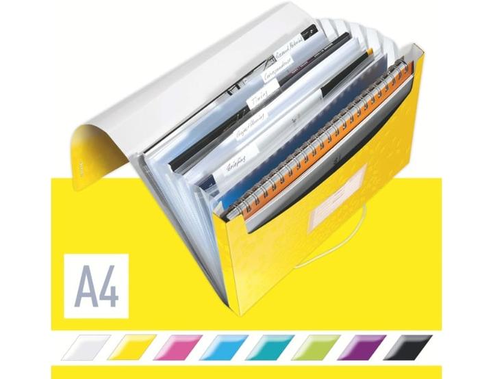 Actual product image Leitz WOW - Project folders (A4, 1 x)