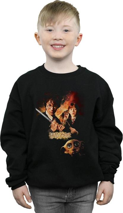Actual product image Boys Chamber Of Secrets Poster Sweatshirt (152, 158)
