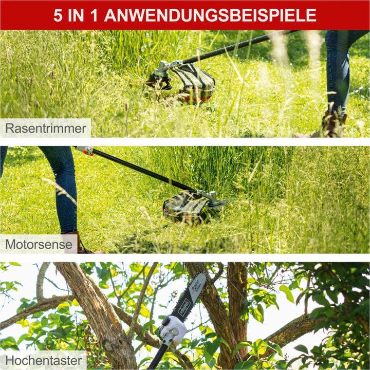 Image du produit Scheppach MTC42-5P (Taille-haie à essence)