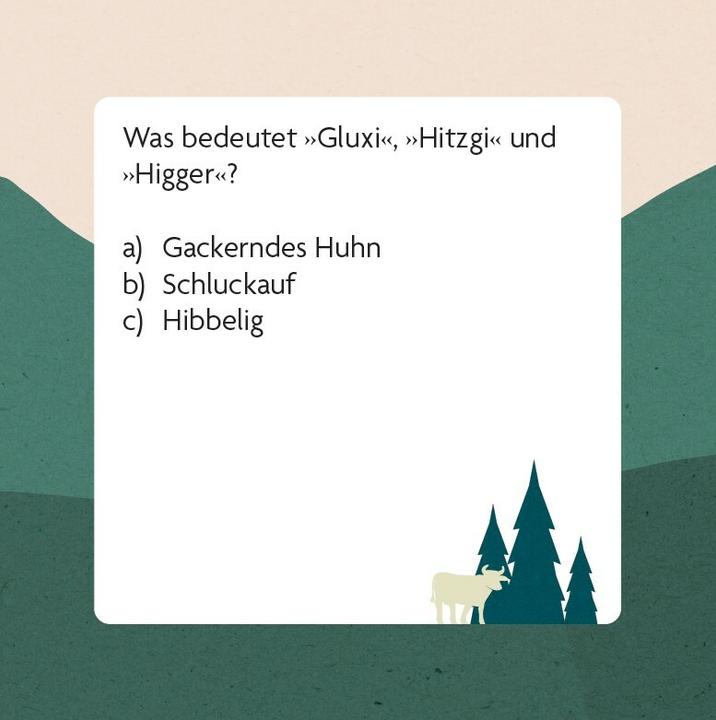 Actual product image Swiss dialect quiz (German)