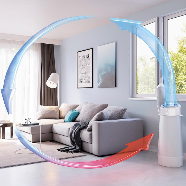 Actual product image Electrolux air flower (40 m², 9000 BTU/h)