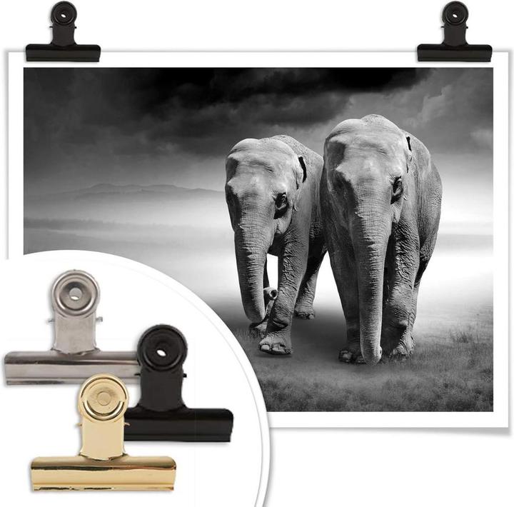 Image du produit Trenddeko Les éléphants (40 x 30 cm)