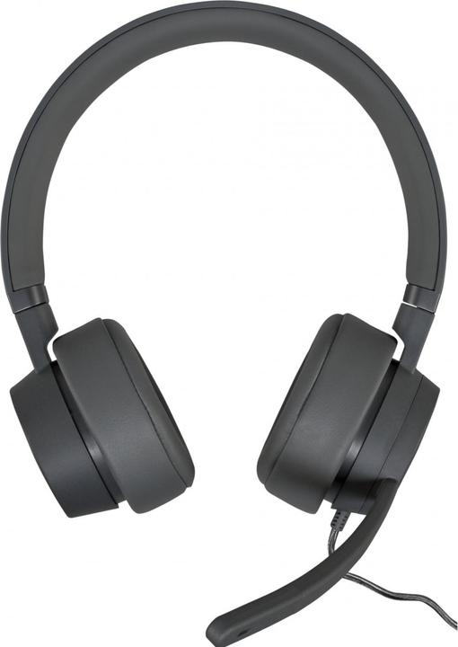 Produktbild Lenovo GXD1C99243 headphones/headset Wired Head-band Calls/Music USB Type-C Grey (ANC, Kabelgebunden)