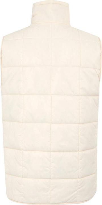 Actual product image Regatta Womens/Ladies Courcelle II Quilted Gilet (36 D)